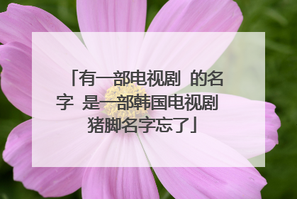 有一部电视剧 的名字 是一部韩国电视剧 猪脚名字忘了