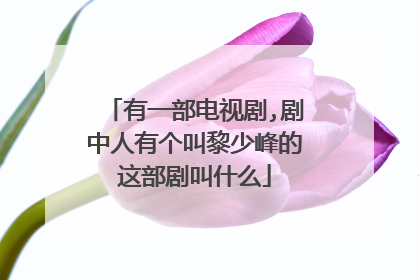 有一部电视剧,剧中人有个叫黎少峰的这部剧叫什么