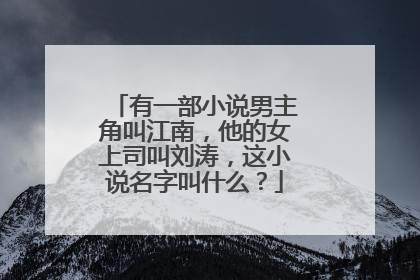 有一部小说男主角叫江南，他的女上司叫刘涛，这小说名字叫什么？