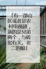 有一部山区或者是农村电视剧，演的是兄弟两个，与砖窑有关。老二的媳