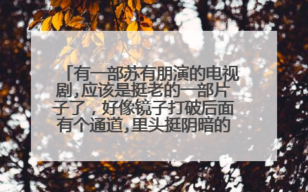 有一部苏有朋演的电视剧,应该是挺老的一部片子了,好像镜子打破后面有个通道,里头挺阴暗的,下水道还有