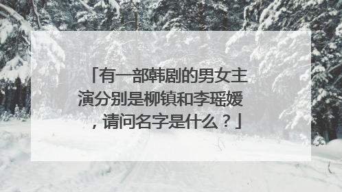 有一部韩剧的男女主演分别是柳镇和李瑶媛，请问名字是什么？