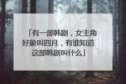 有一部韩剧,女主角好象叫四月,有谁知道这部韩剧叫什么