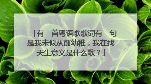 有一首粤语歌歌词有一句是我未似从前幼稚,我在找天生意义是什么歌?