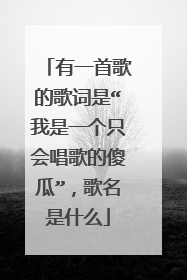 有一首歌的歌词是“我是一个只会唱歌的傻瓜”，歌名是什么