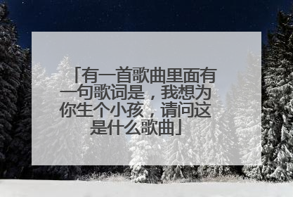 有一首歌曲里面有一句歌词是，我想为你生个小孩，请问这是什么歌曲
