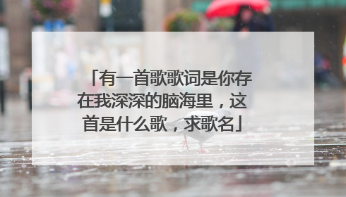 有一首歌歌词是你存在我深深的脑海里，这首是什么歌，求歌名