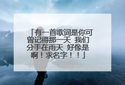 有一首歌词是你可曾记得那一天 我们分手在雨天 好像是啊！求名字！！