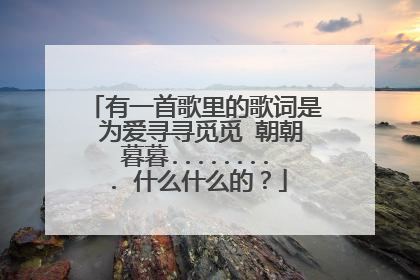 有一首歌里的歌词是 为爱寻寻觅觅 朝朝暮暮......... 什么什么的？