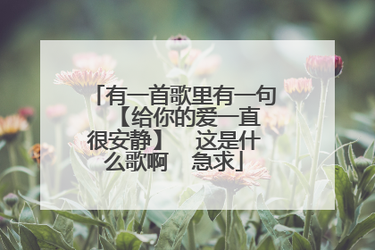 有一首歌里有一句 【给你的爱一直很安静】 这是什么歌啊 急求