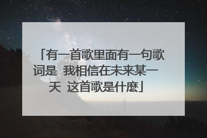 有一首歌里面有一句歌词是 我相信在未来某一天 这首歌是什麽