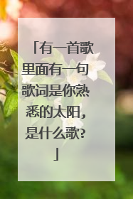 有一首歌里面有一句歌词是你熟悉的太阳,是什么歌?