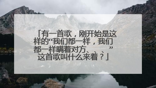 有一首歌，刚开始是这样的“我们都一样，我们都一样瞒着对方、、、”这首歌叫什么来着？