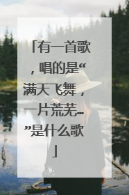有一首歌,唱的是“满天飞舞,一片荒芜…”是什么歌