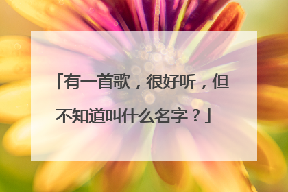 有一首歌，很好听，但不知道叫什么名字？