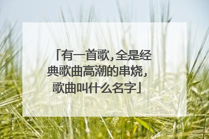 有一首歌,全是经典歌曲高潮的串烧,歌曲叫什么名字