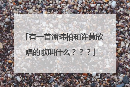 有一首潘玮柏和许慧欣唱的歌叫什么???