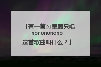 有一首DJ里面只唱nonononono这首歌曲叫什么？