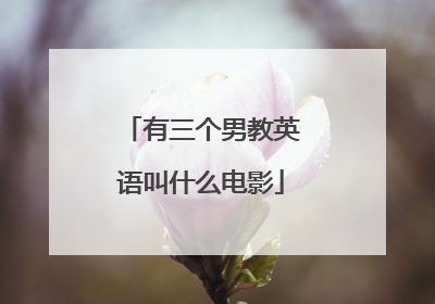 有三个男教英语叫什么电影