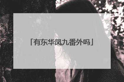 有东华凤九番外吗