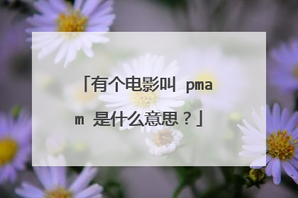 有个电影叫 pmam 是什么意思？