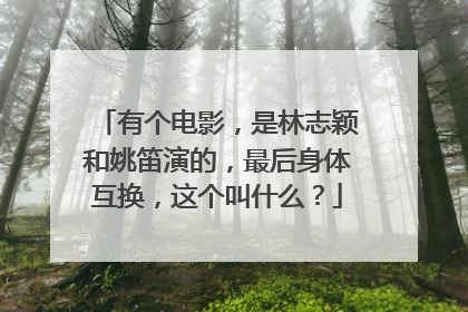 有个电影,是林志颖和姚笛演的,最后身体互换,这个叫什么?