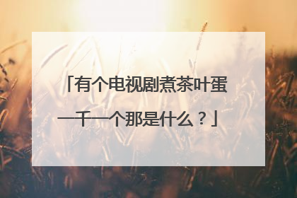 有个电视剧煮茶叶蛋一千一个那是什么？