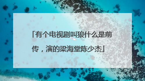 有个电视剧叫狼什么是前传，演的梁海堂陈少杰
