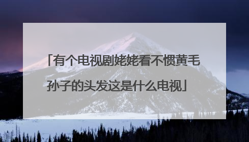 有个电视剧姥姥看不惯黄毛孙子的头发这是什么电视
