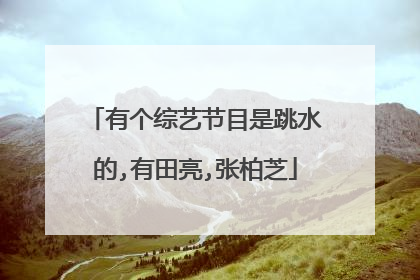 有个综艺节目是跳水的,有田亮,张柏芝