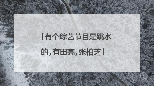 有个综艺节目是跳水的,有田亮,张柏芝