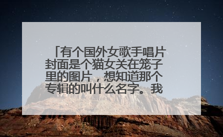 有个国外女歌手唱片封面是个猫女关在笼子里的图片，想知道那个专辑的叫什么名字。我想找里边的一首歌。