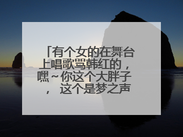 有个女的在舞台上唱歌骂韩红的，嘿～你这个大胖子， 这个是梦之声那集？