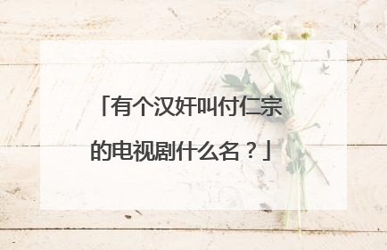 有个汉奸叫付仁宗的电视剧什么名？