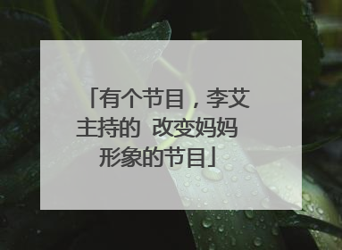 有个节目,李艾主持的 改变妈妈形象的节目