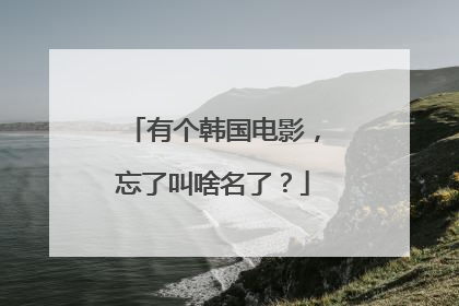 有个韩国电影,忘了叫啥名了?