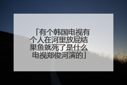 有个韩国电视有个人在河里放屁结果鱼就死了是什么电视郑俊河演的