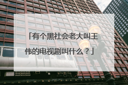 有个黑社会老大叫王伟的电视剧叫什么?