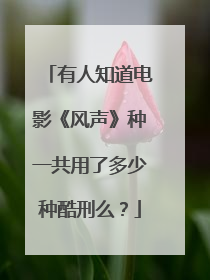 有人知道电影《风声》种一共用了多少种酷刑么?