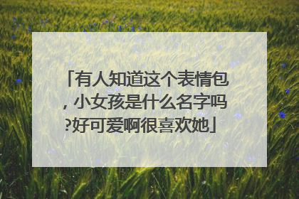 有人知道这个表情包,小女孩是什么名字吗?好可爱啊很喜欢她
