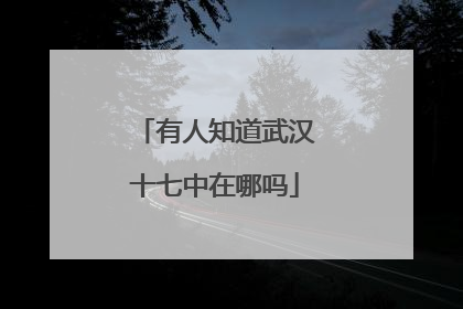 有人知道武汉十七中在哪吗