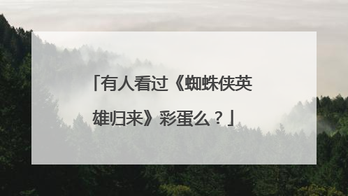 有人看过《蜘蛛侠英雄归来》彩蛋么?