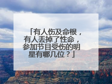有人伤及命根,有人丢掉了性命,参加节目受伤的明星有哪几位?