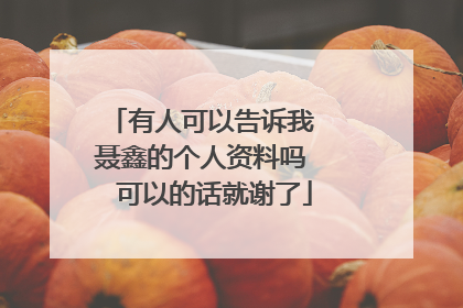 有人可以告诉我 聂鑫的个人资料吗 可以的话就谢了