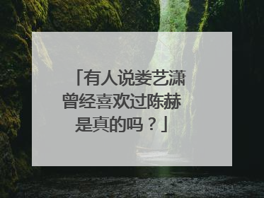 有人说娄艺潇曾经喜欢过陈赫是真的吗?