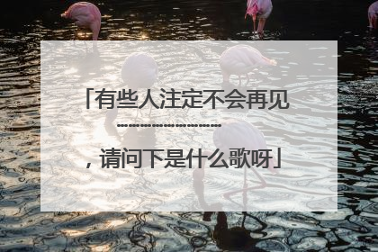 有些人注定不会再见……………………… ,请问下是什么歌呀