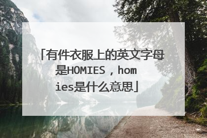 有件衣服上的英文字母是HOMIES,homies是什么意思