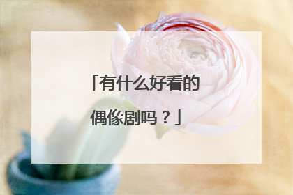 有什么好看的偶像剧吗?