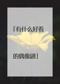 有什么好看的偶像剧