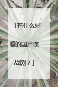 有什么好看的国产谍战剧？